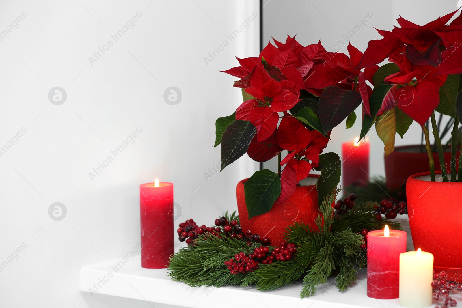 Photo of Potted poinsettias, burning candles and festive decor on windowsill in room, space for text. Christmas traditional flower