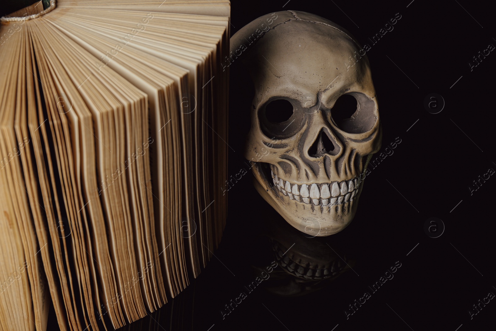 Photo of Human skull and old book on mirror table