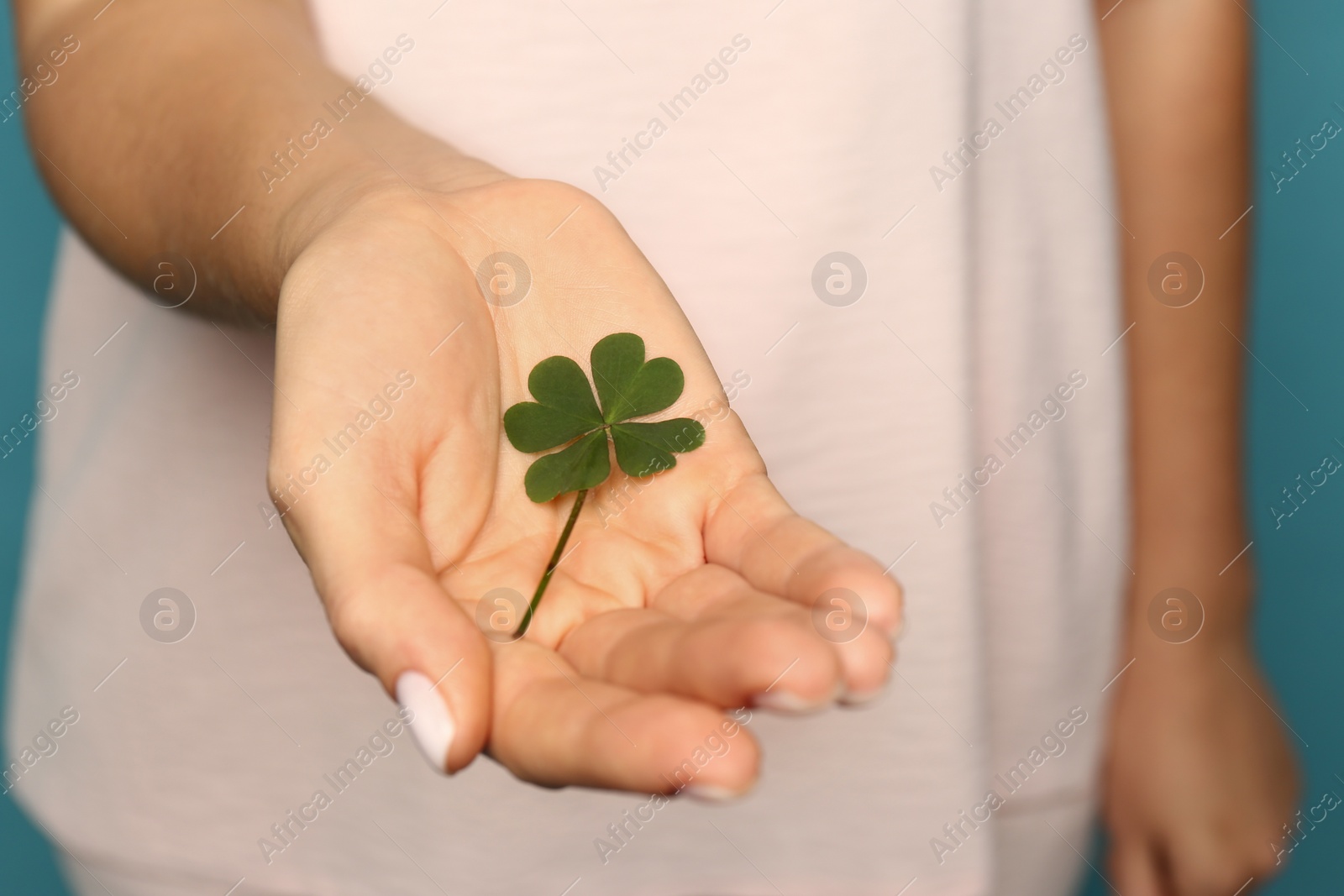 Photo of Woman holding green four leaf clover in hand, closeup