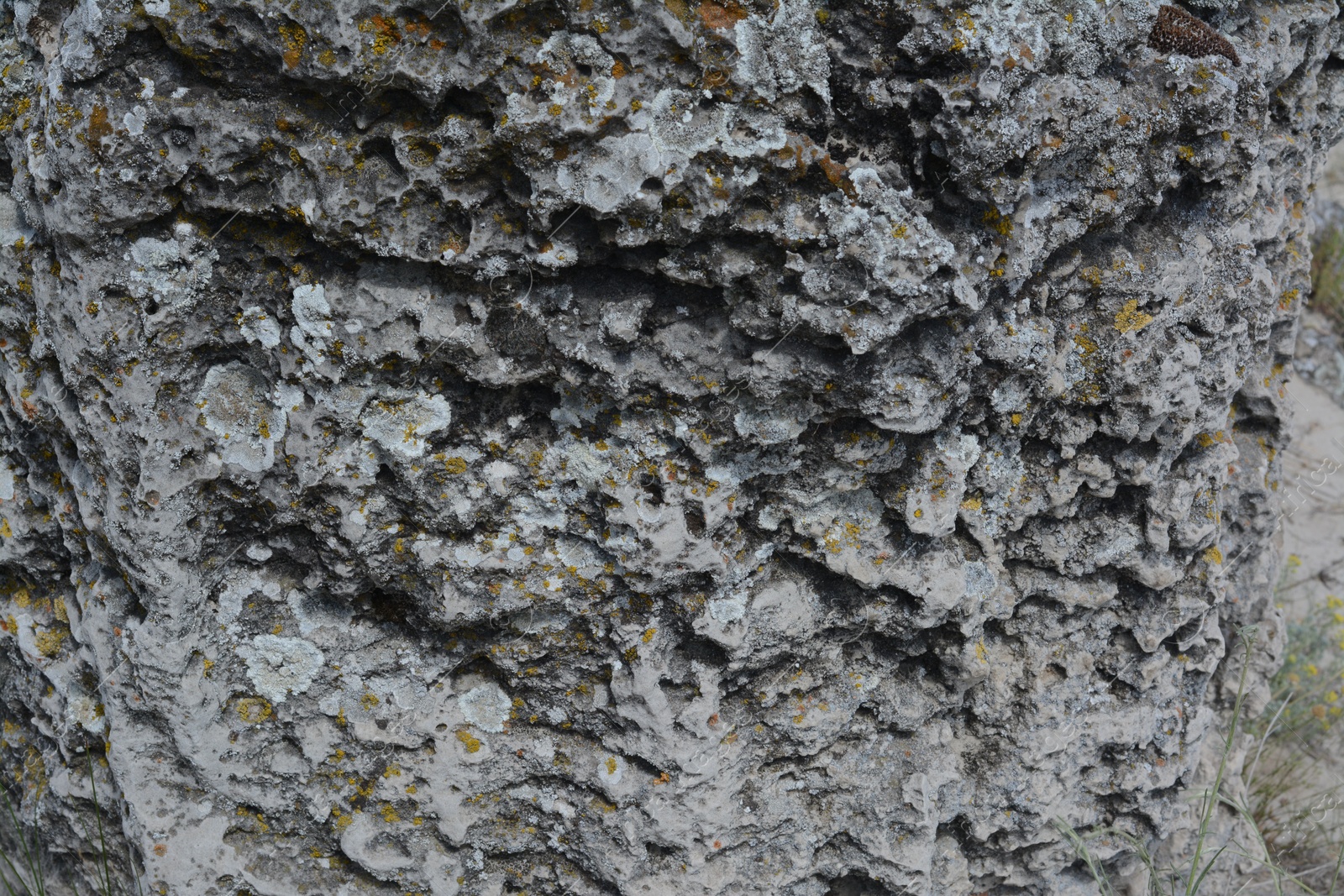 Photo of Closeup view of stone covered with lichen as background