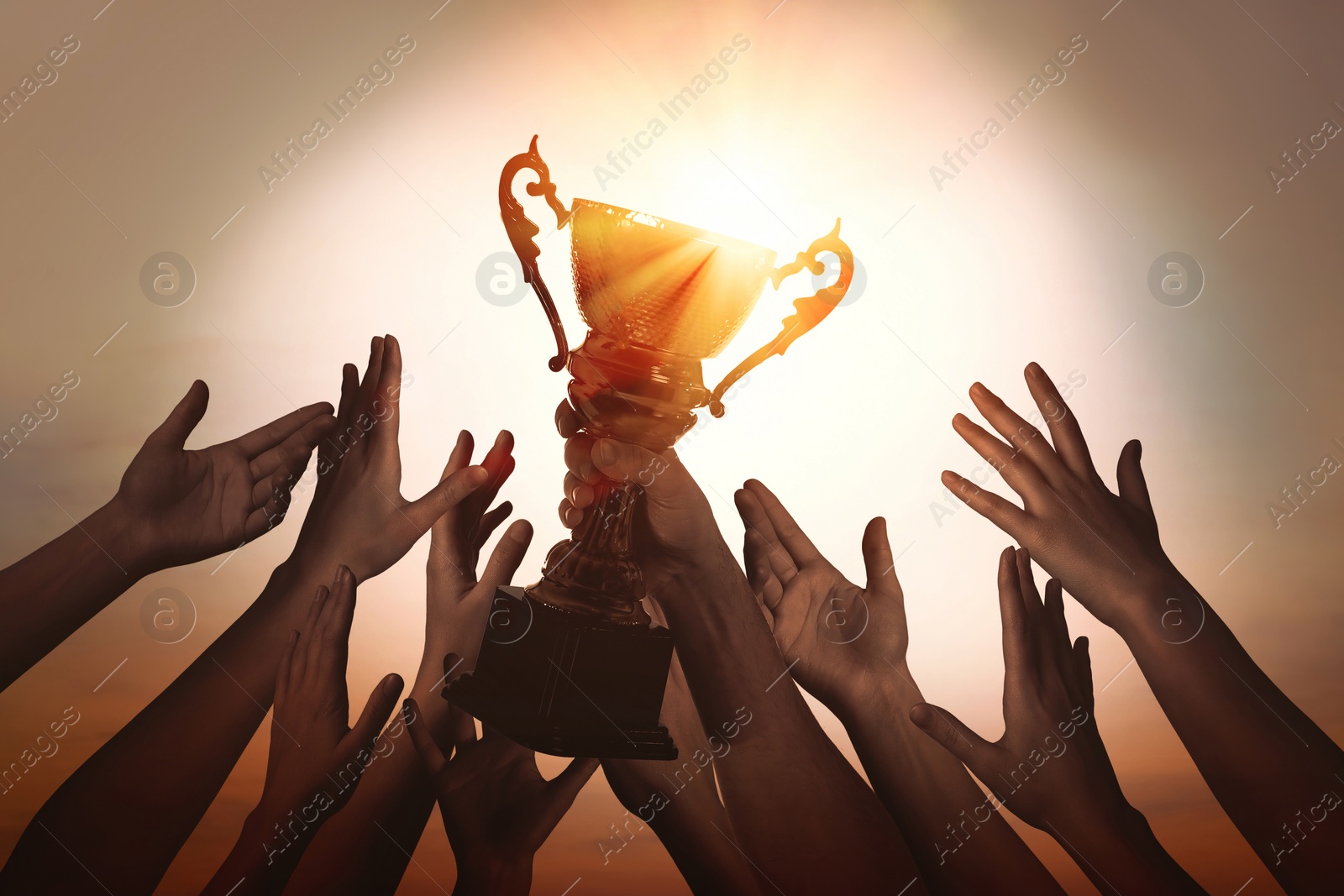 Image of Winning team with gold trophy cup against shining sun in sky 