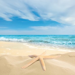 Image of Beautiful starfish on sandy beach near sea