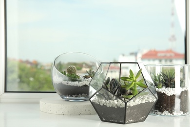 Glass florariums with different succulents on windowsill, space for text