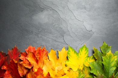 Flat lay composition with autumn leaves on grey stone background. Space for text