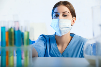 Scientist taking test tube from rack indoors. Laboratory analysis