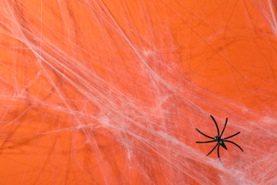 Photo of Cobweb and spider on orange background, closeup