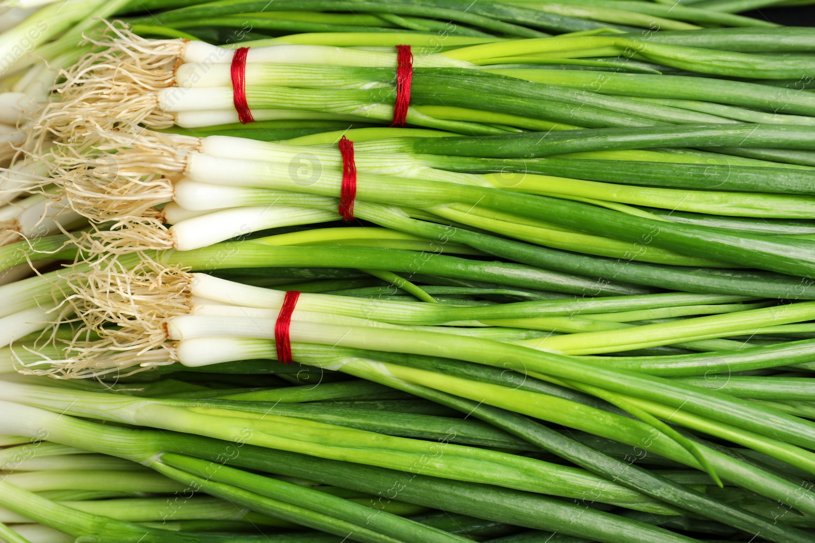 Photo of Fresh green onions as background, top view