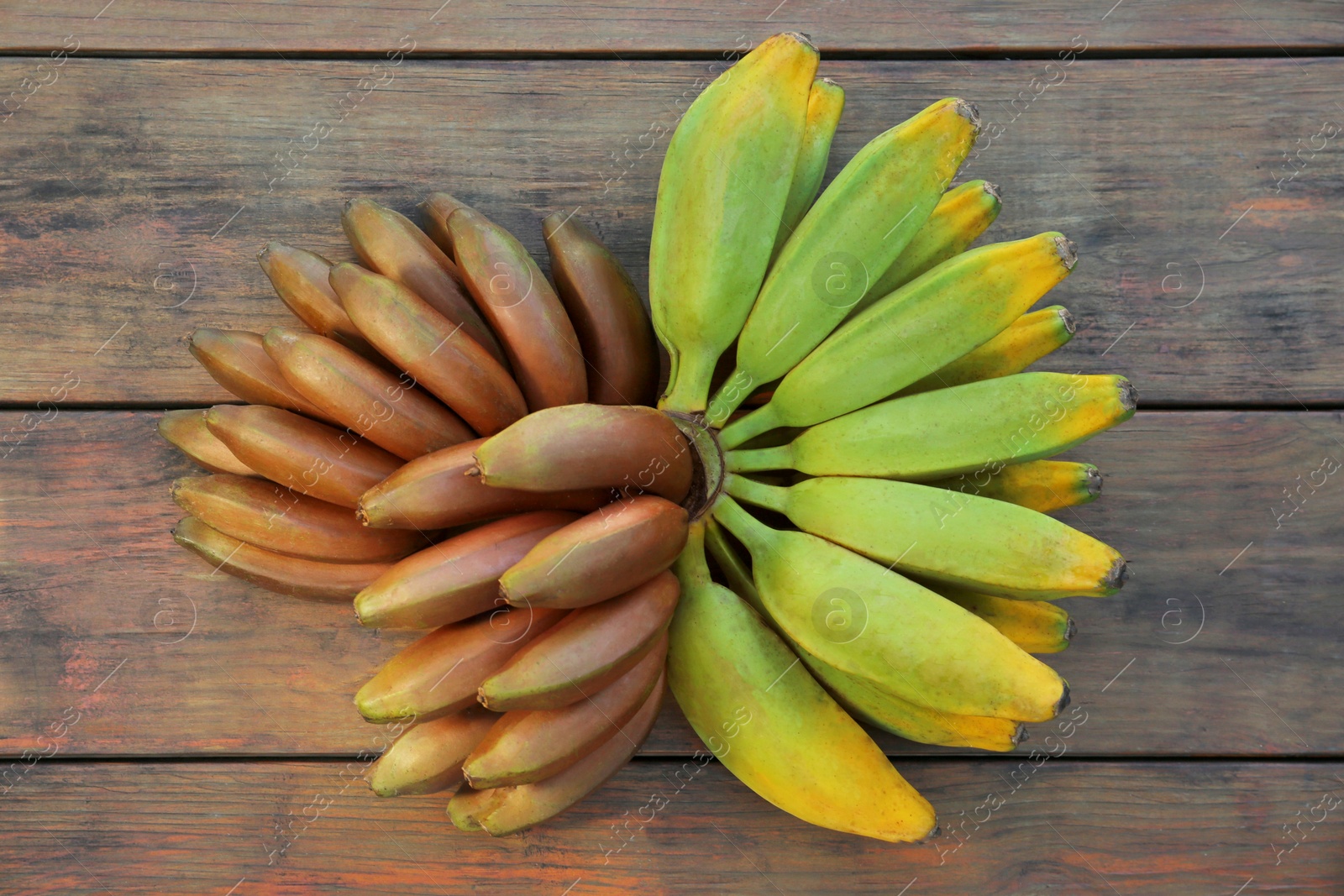 Photo of Different sorts of bananas on wooden table, flat lay