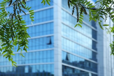 Photo of Beautiful tree branch with green leaves near modern building outdoors, closeup. Space for text