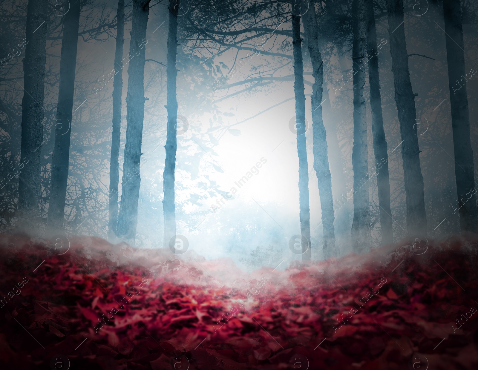 Image of Fantasy world. Creepy foggy forest with fallen red leaves