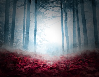 Image of Fantasy world. Creepy foggy forest with fallen red leaves