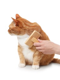 Photo of Woman brushing cute ginger cat's fur on white background, closeup