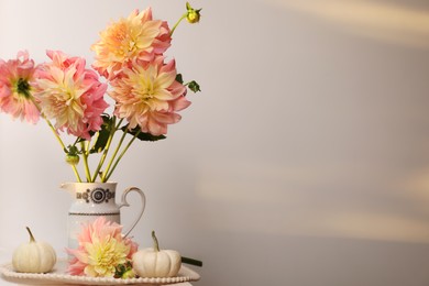 Photo of Composition with beautiful dahlia flowers and pumpkins on table near light wall, space for text. Autumn mood