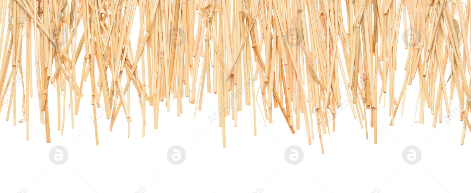 Photo of Dried hay on white background, top view