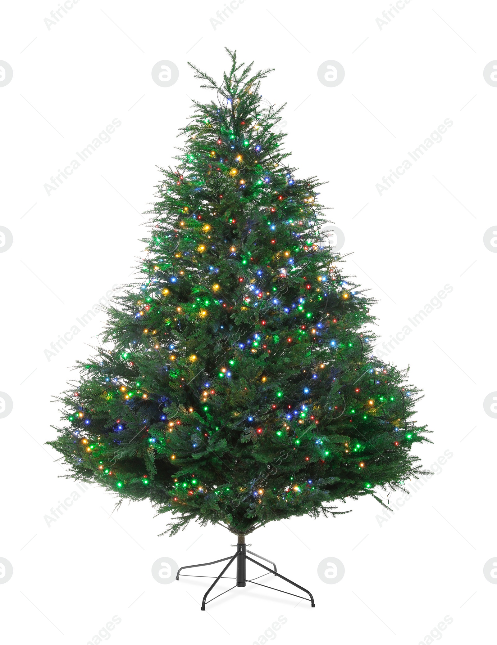 Photo of Beautiful Christmas tree with colorful lights isolated on white