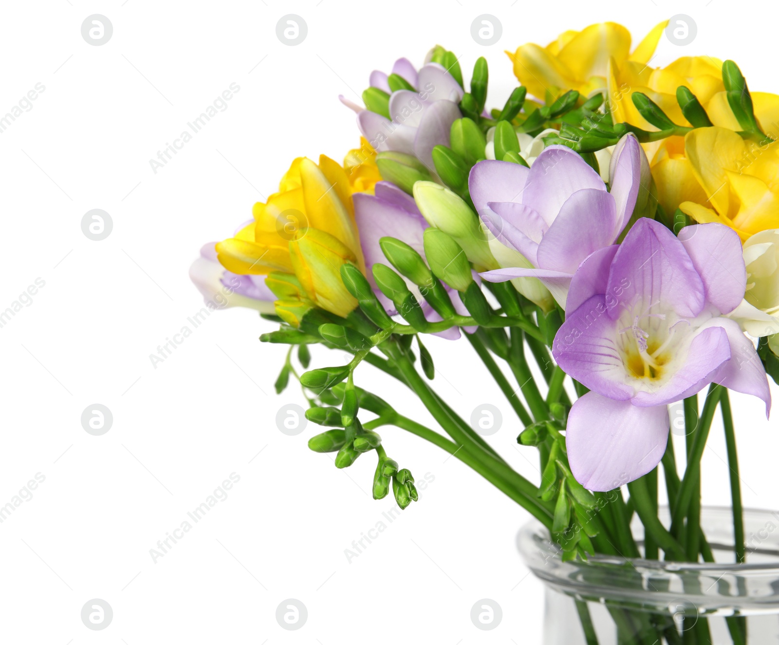 Photo of Bouquet of fresh freesia flowers in vase isolated on white