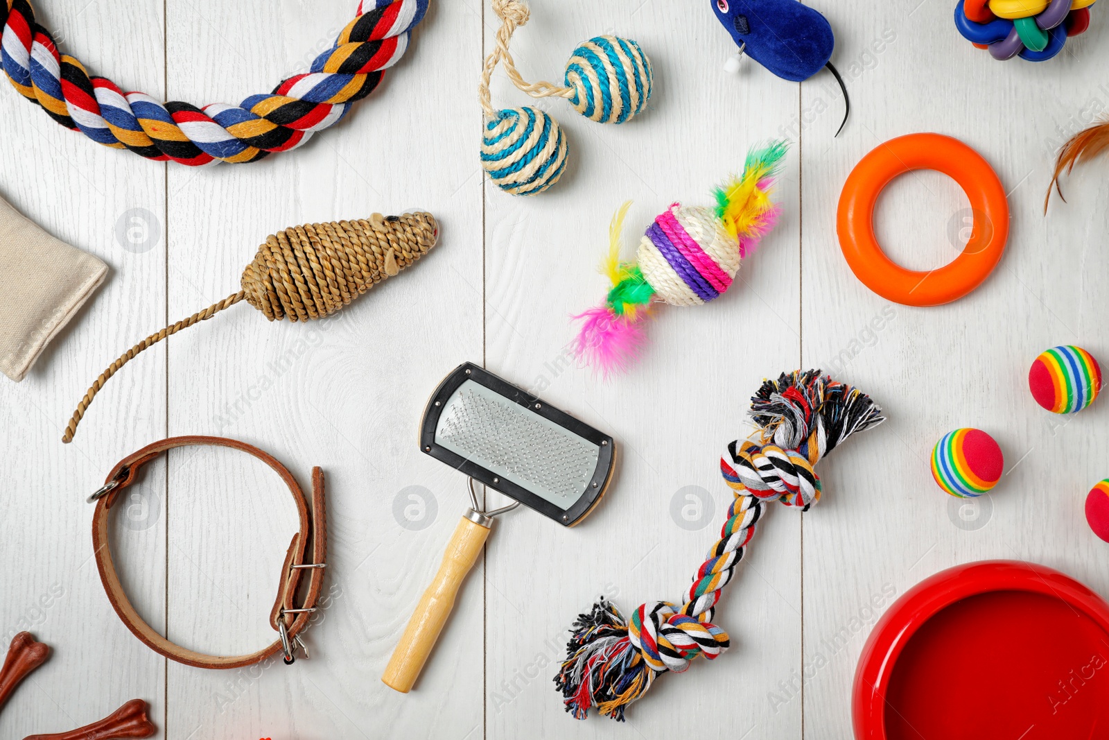 Photo of Flat lay composition with accessories for dog and cat on wooden background. Pet care