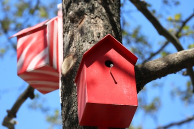Photo of Red and white bird houses on tree outdoors