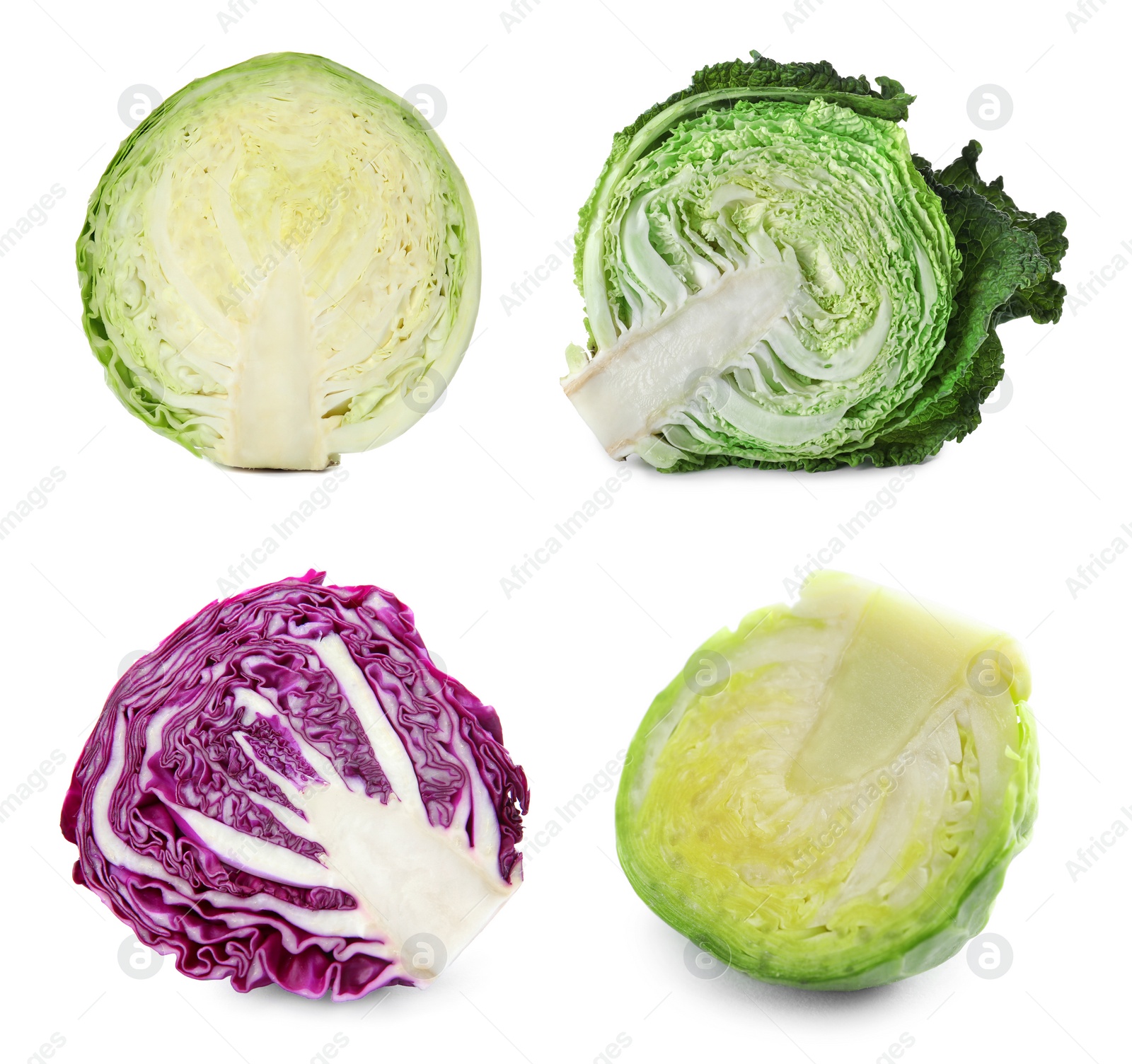 Image of Set with assortment of cabbages on white background