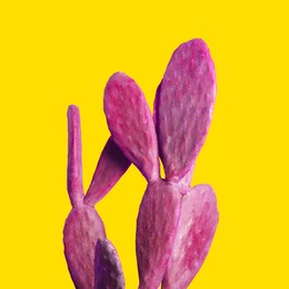 Pink cactus on yellow background. Creative design