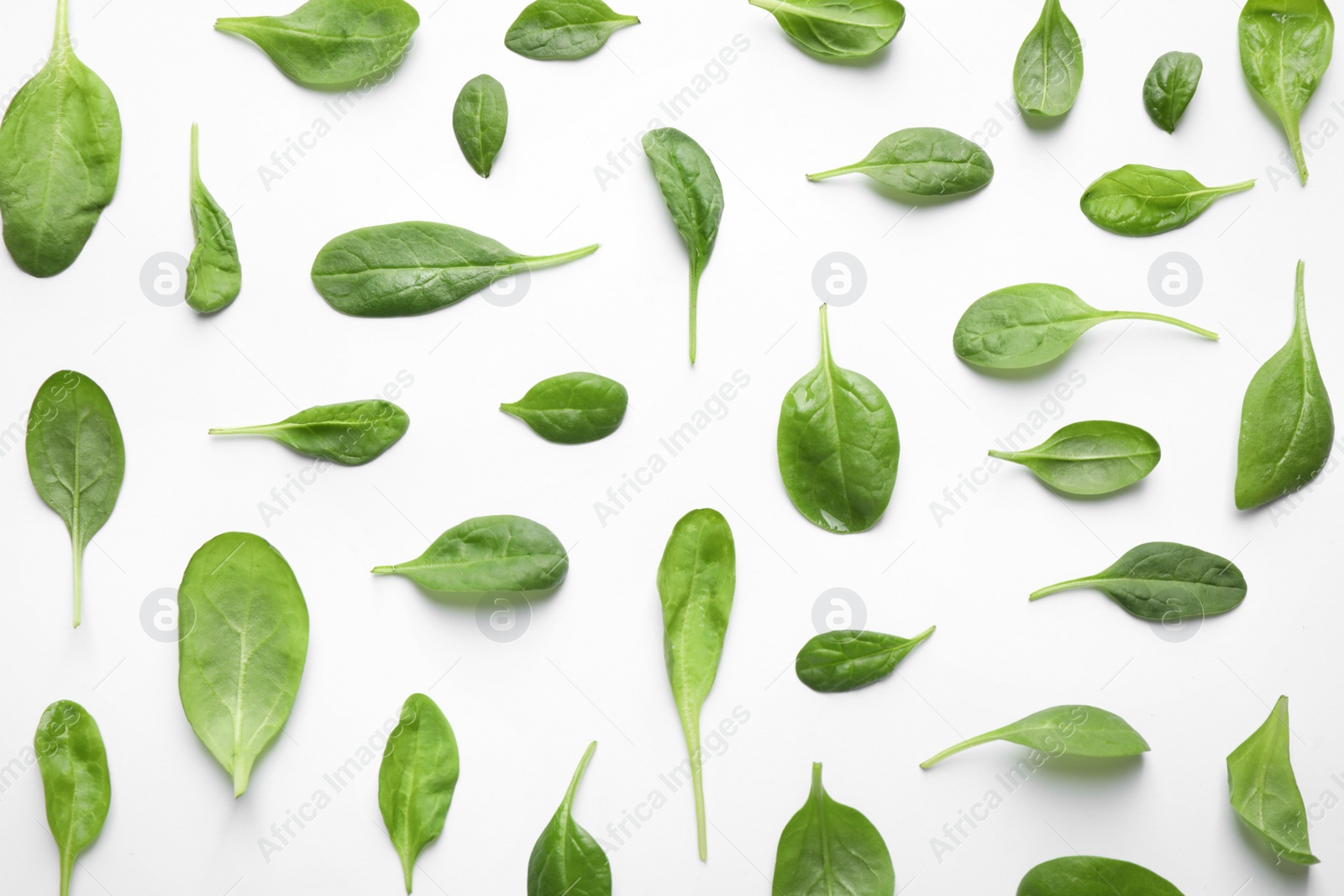 Photo of Fresh green healthy spinach leaves with water drops on white background, top view