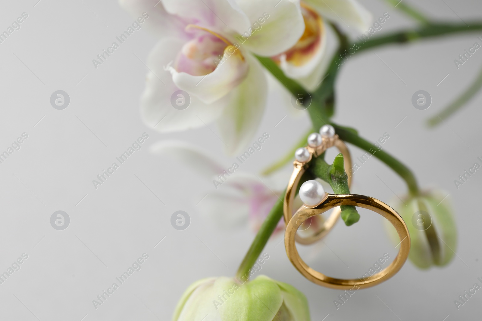 Photo of Elegant pearl rings and orchid flowers on white background, closeup. Space for text