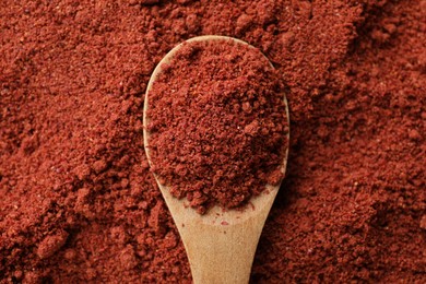 Photo of One wooden spoon on cranberry powder, top view