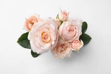 Photo of Beautiful roses on white background, top view