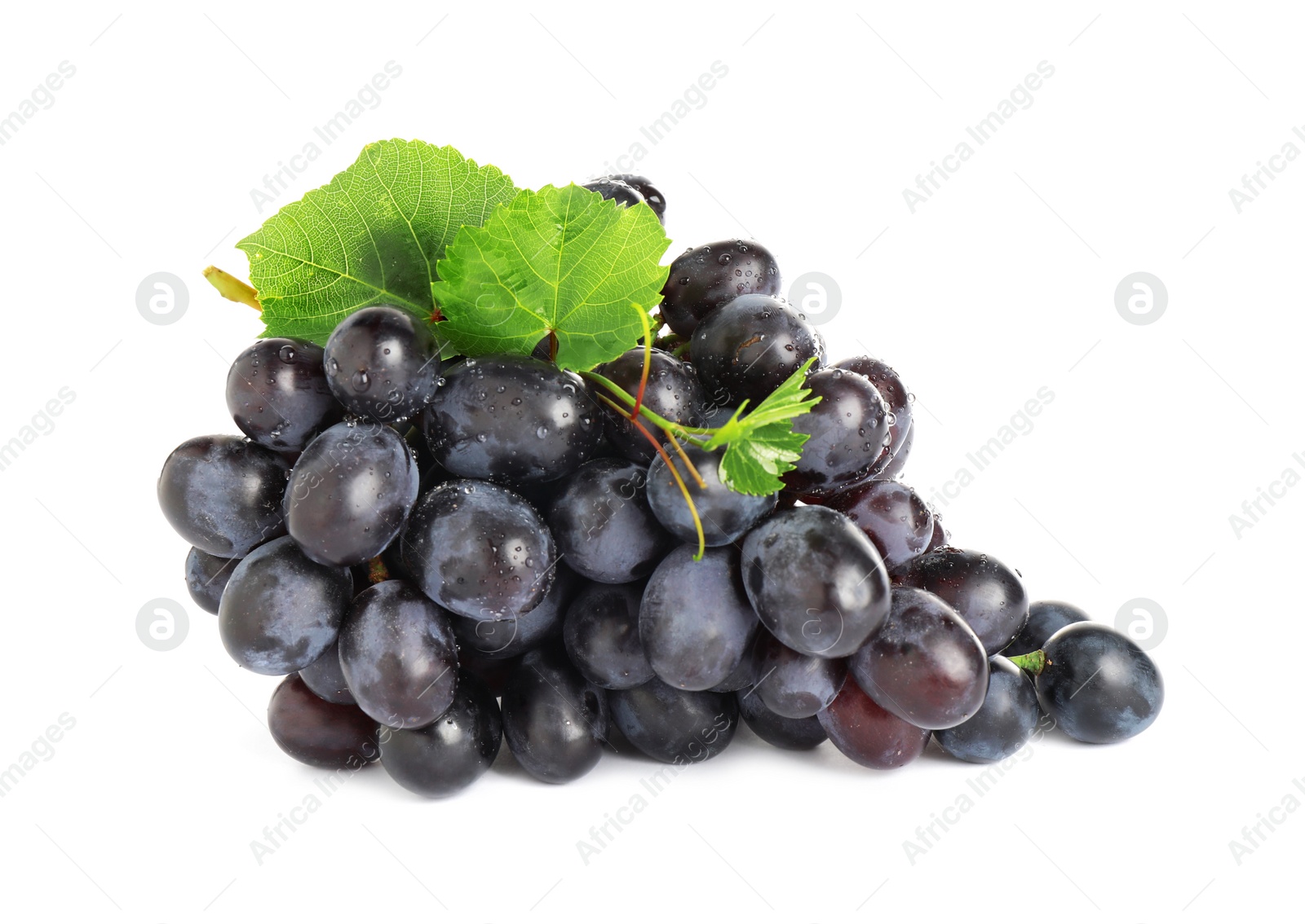 Photo of Bunch of fresh ripe juicy dark blue grapes with leaves isolated on white