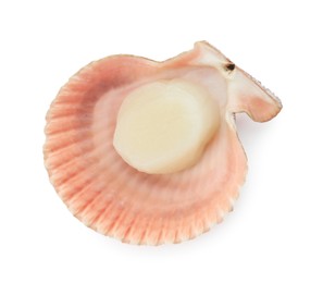 Photo of Fresh raw scallop in shell isolated on white, top view