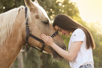 Photo of Beautiful woman with adorable horse outdoors. Lovely domesticated pet