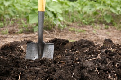 Photo of Shovel in soil outdoors, space for text