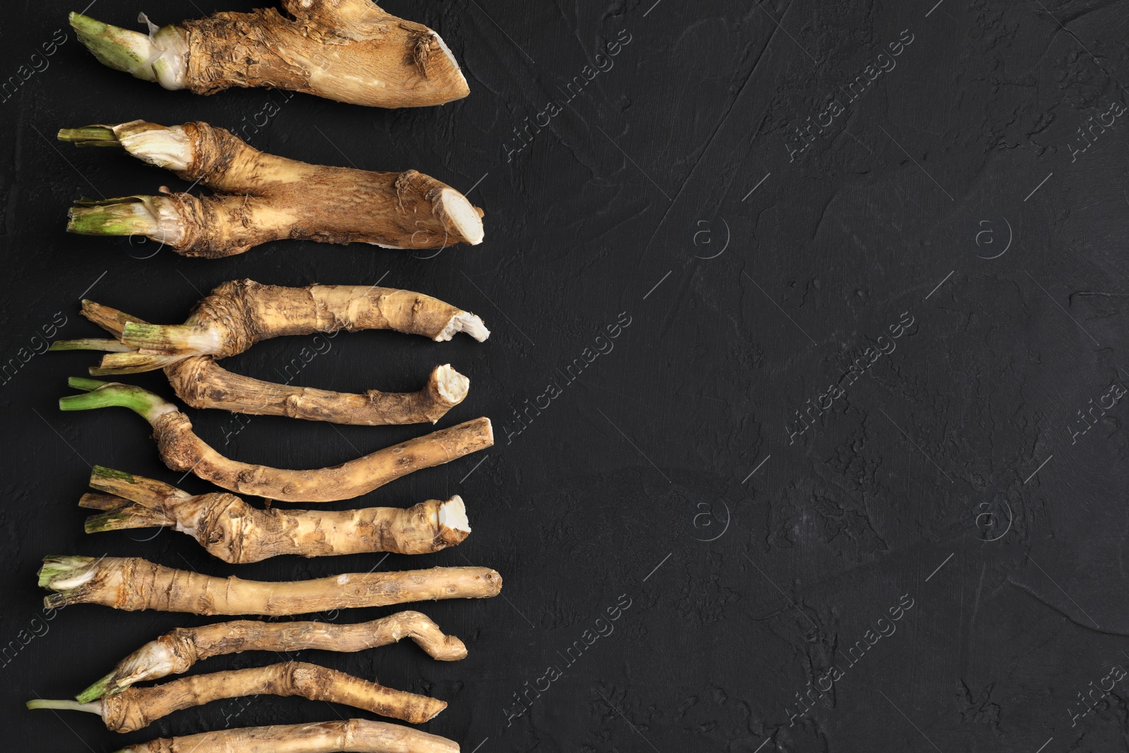 Photo of Cut horseradish roots on black textured table, flat lay. Space for text