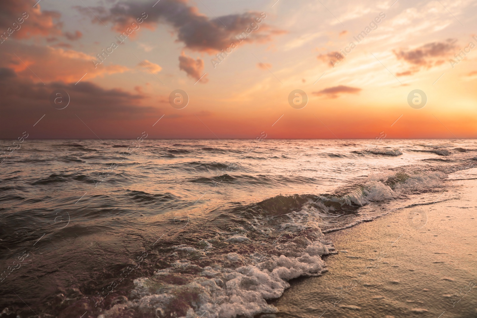 Photo of Beautiful view of sea coast at sunset
