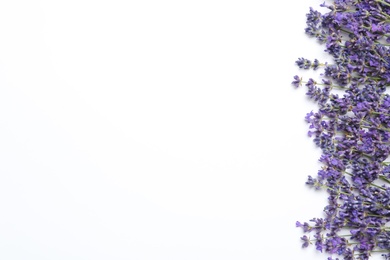 Beautiful lavender flowers on white background, flat lay. Space for text