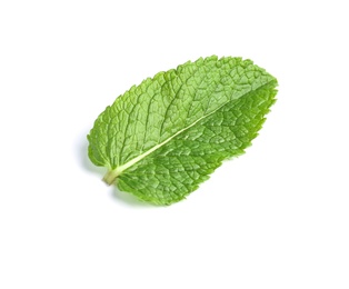 Fresh green mint leaf on white background