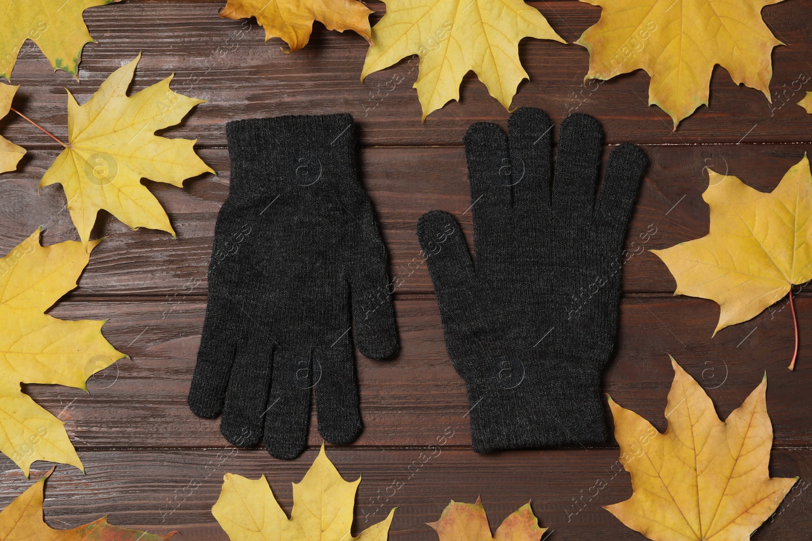 Photo of Stylish black woolen gloves and dry leaves on wooden table, flat lay