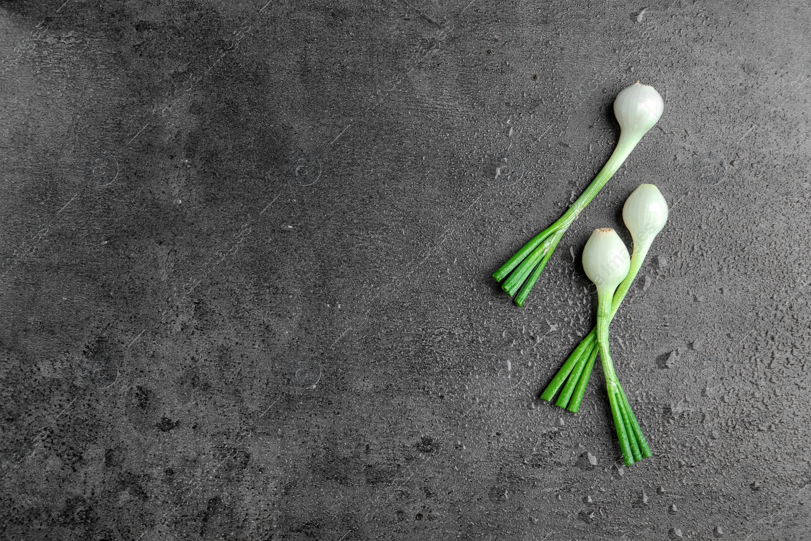 Photo of Fresh green onion on table, top view