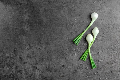 Fresh green onion on table, top view