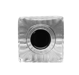 Glass inkwell on white background, top view