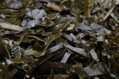 Fresh laminaria (kelp) seaweed as background, closeup