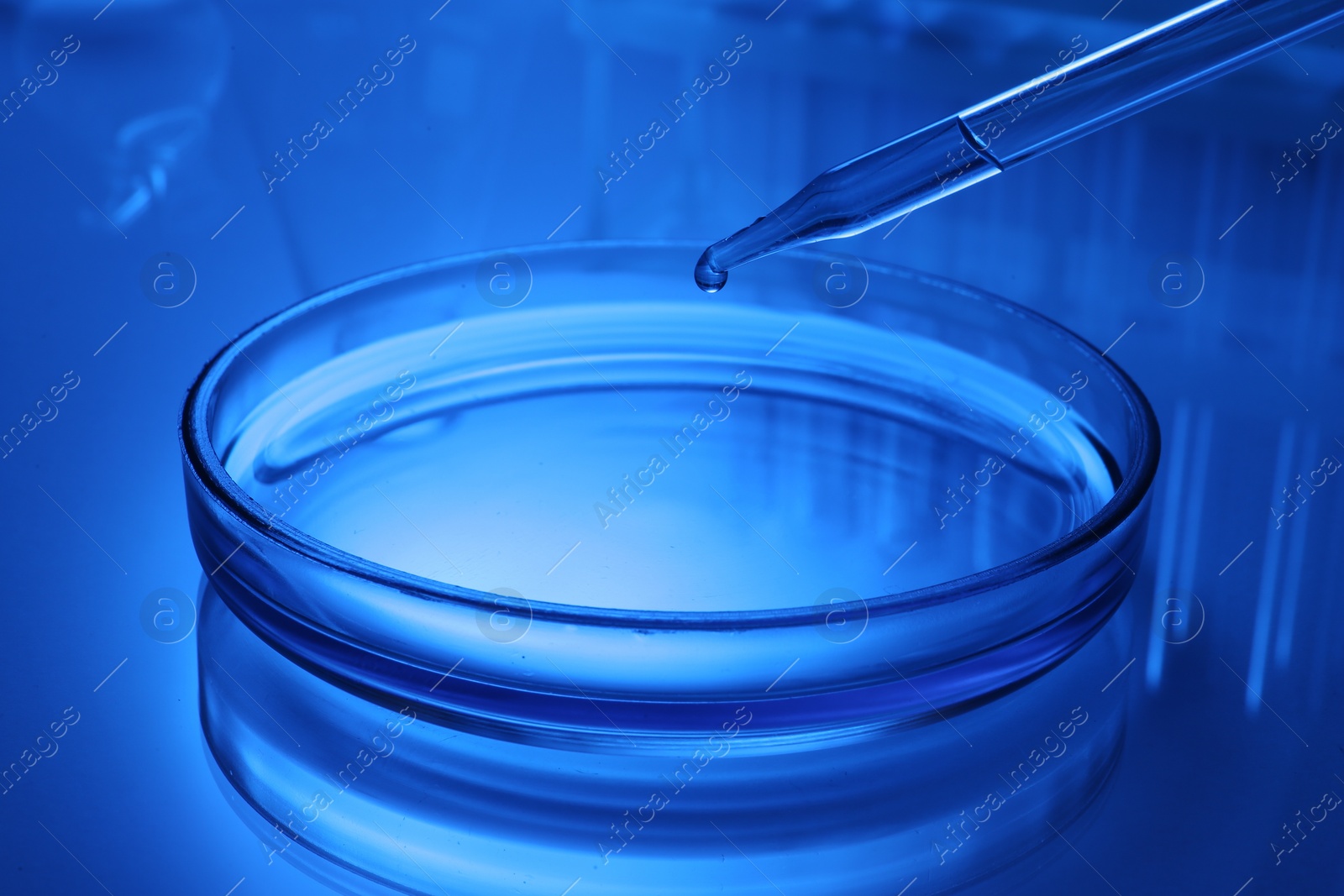 Photo of Dripping reagent into Petri dish with sample on table, toned in blue