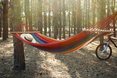 Photo of Empty hammock in forest on summer day