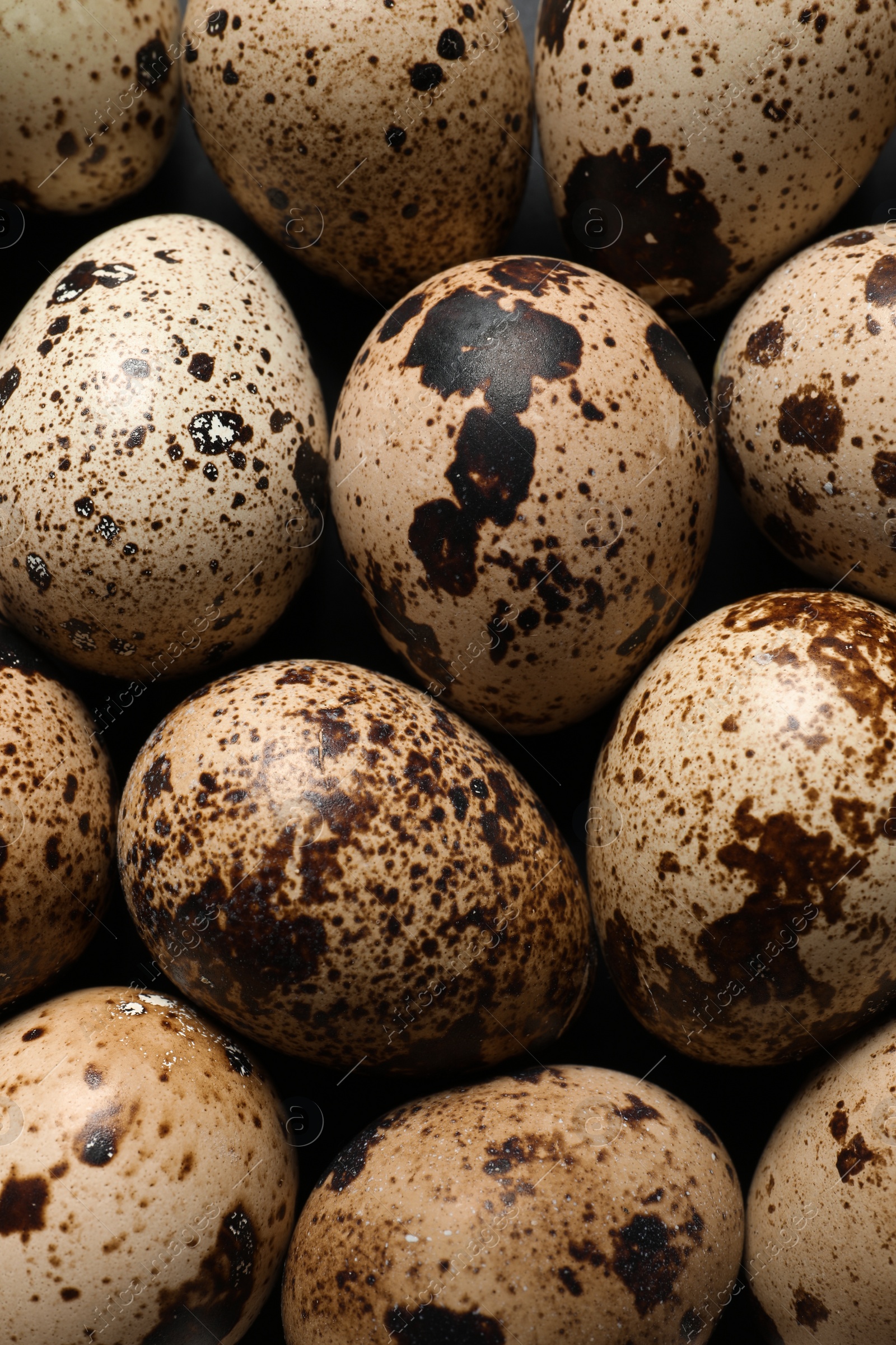 Photo of Many fresh quail eggs as background, closeup