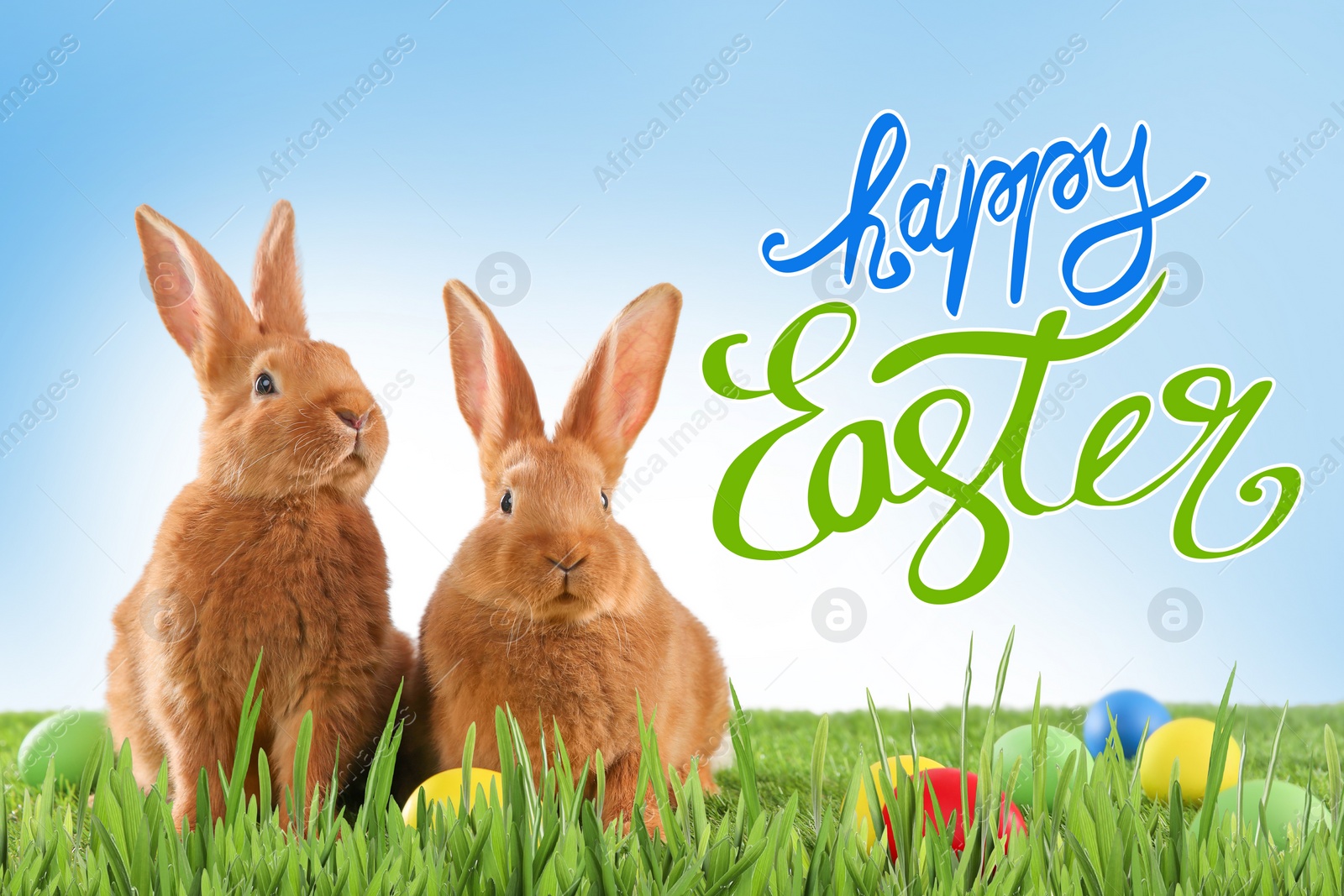 Image of Happy Easter. Adorable bunnies and dyed eggs on green grass outdoors