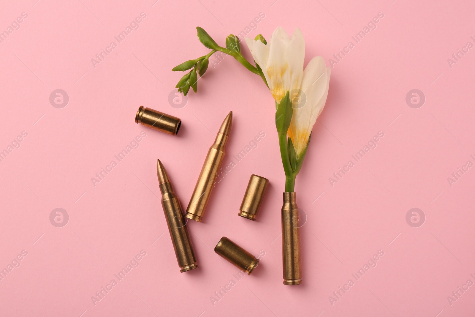 Photo of Bullets and cartridge cases with beautiful flower on pink background, flat lay