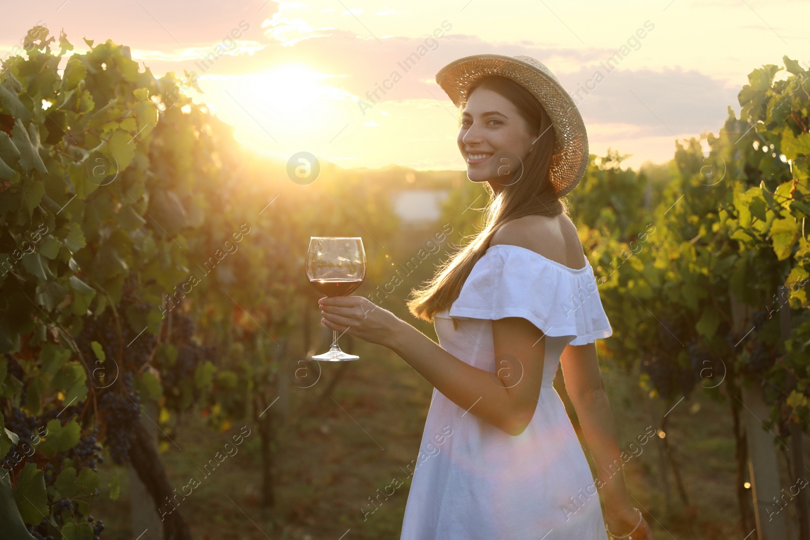 Photo of Beautiful young woman with glass of wine in vineyard on sunny day