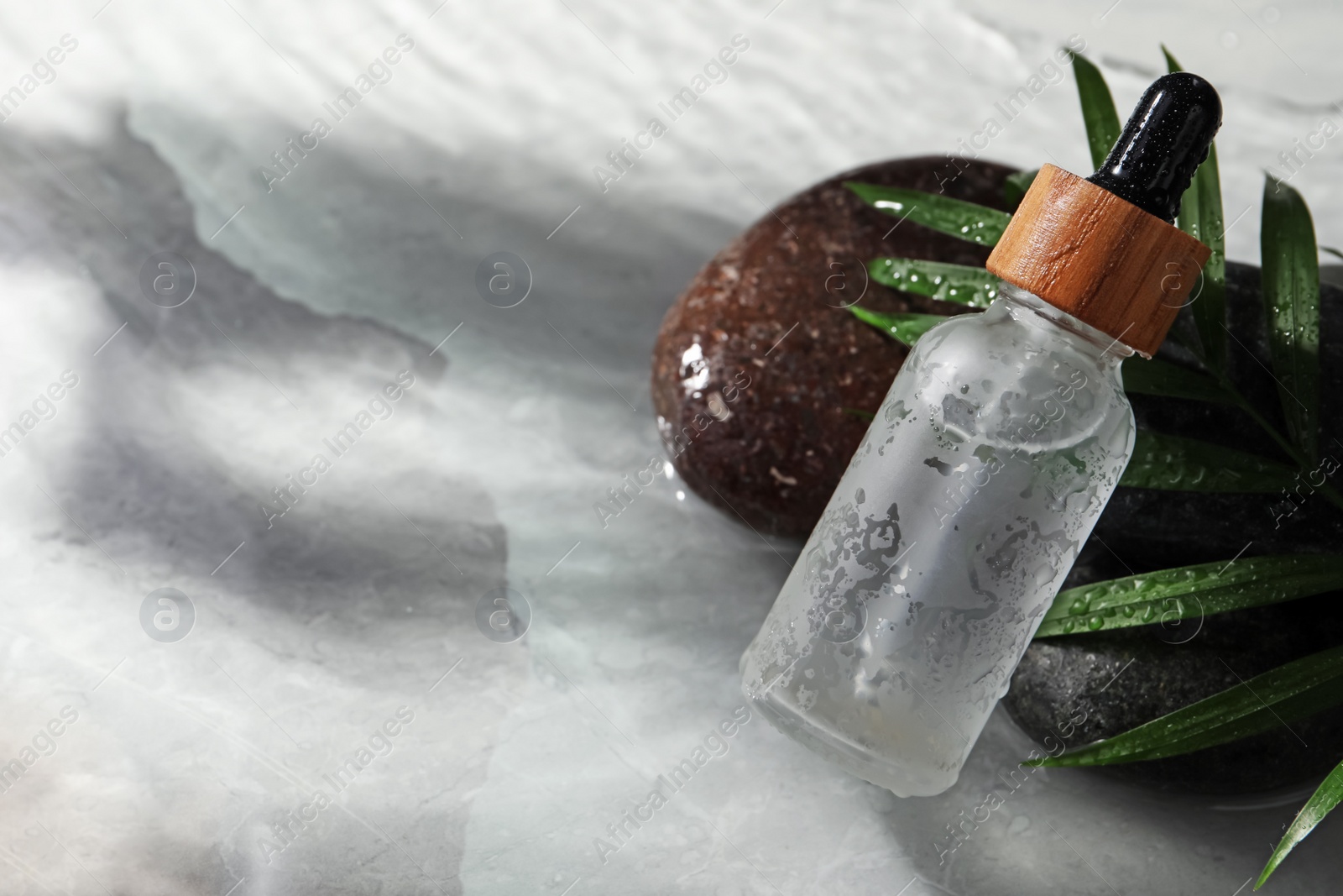 Photo of Bottle of face serum, spa stones and leaf on wet grey marble table, closeup. Space for text