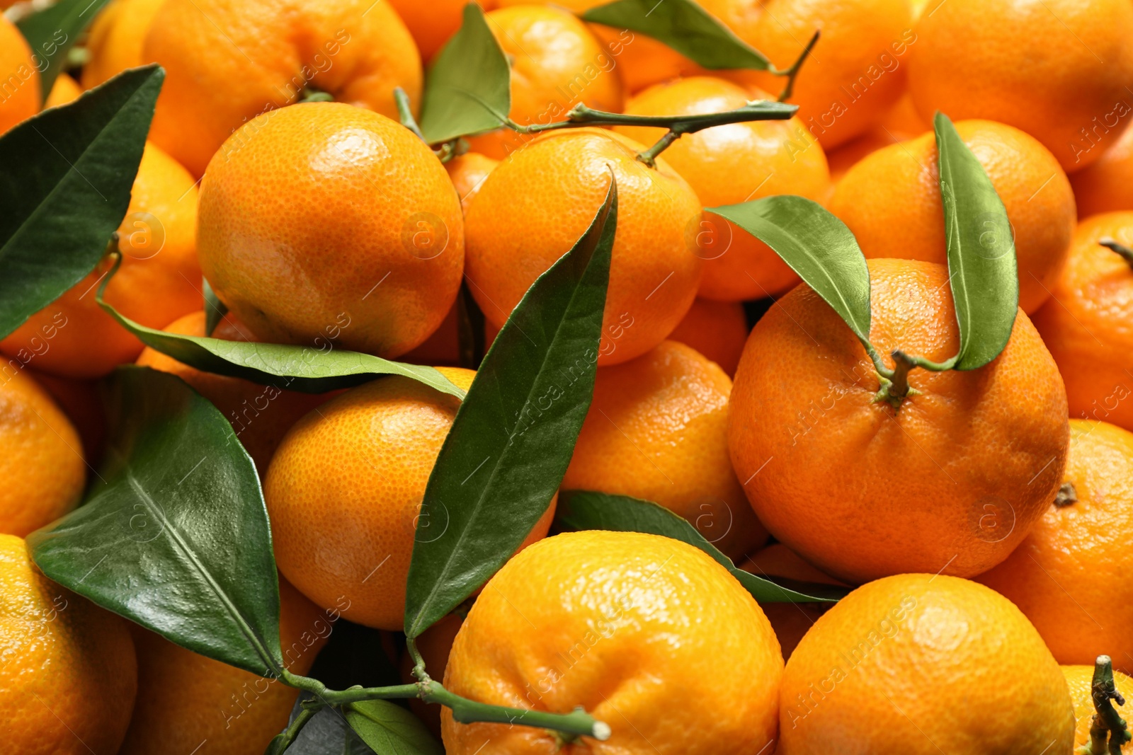 Photo of Fresh ripe tangerines with leaves as background, closeup. Citrus fruit