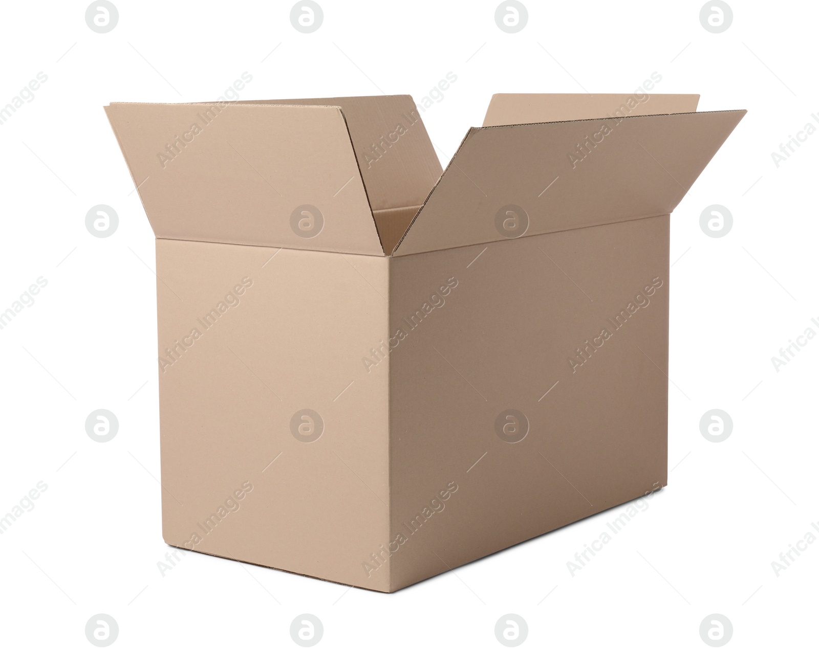 Photo of One open cardboard box isolated on white